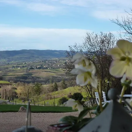 L'adelie B&B Belmont d’Azergues